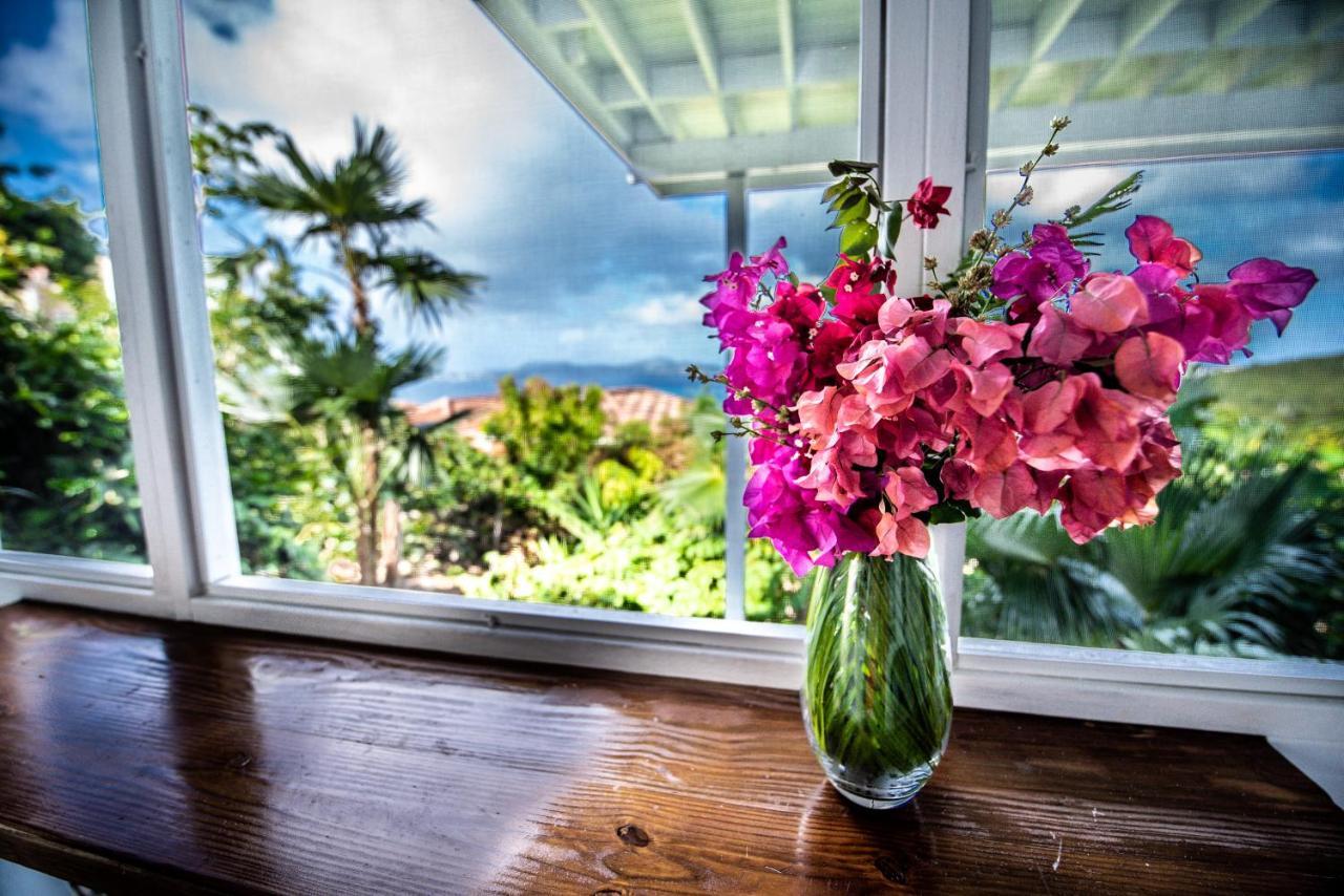 Papaya Suite At Sunset Serenade Cruz Bay Экстерьер фото